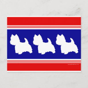 Westie Silhouette Rot und Blau Postkarte