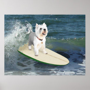 Westie-Surfer-Plakat Poster