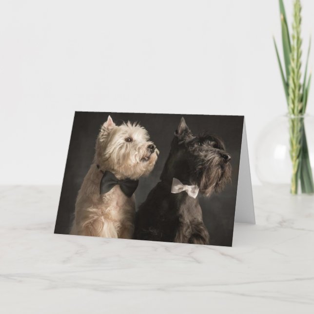 Westie und Scottie Karte (Vorderseite)
