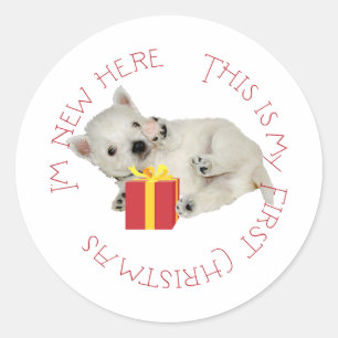 Westie-Welpe erstes Weihnachten Runder Aufkleber