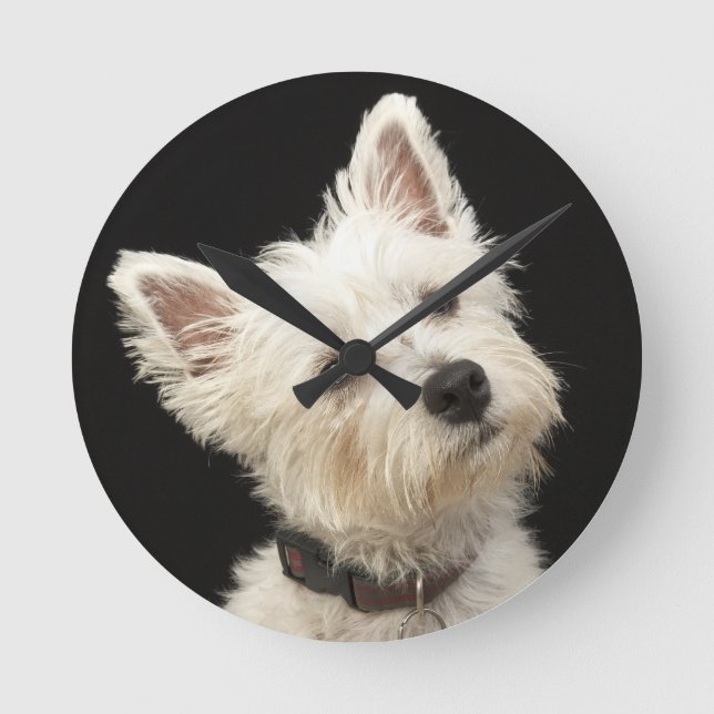 Westie (West Highland Terrier) mit Kragen Runde Wanduhr (Vorderseite)