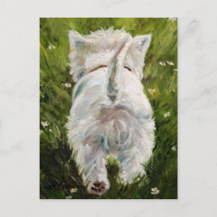Westie West Highland Terrier Postcard Postkarte