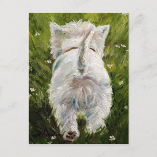Westie West Highland Terrier Postcard Postkarte (Vorderseite)