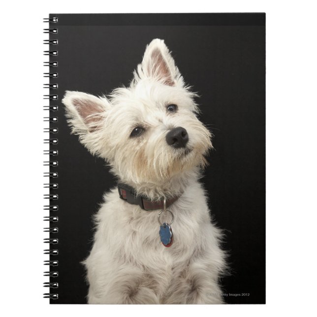 Westie | Westhochland Terrier Notizblock (Vorderseite)