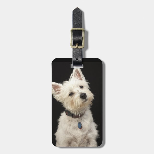 Westie (Westhochlandterrier) mit Kragen Gepäckanhänger (Vorderseite vertikal)