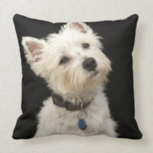 Westie (Westhochlandterrier) mit Kragen Kissen
