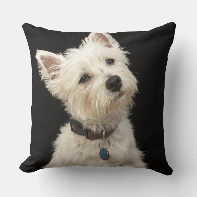 Westie (Westhochlandterrier) mit Kragen Kissen (Vorderseite)
