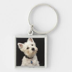 Westie (Westhochlandterrier) mit Kragen Schlüsselanhänger