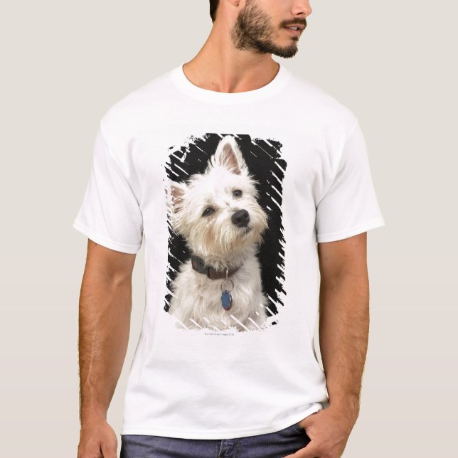 Westie (Westhochlandterrier) mit Kragen T-Shirt (Vorderseite)