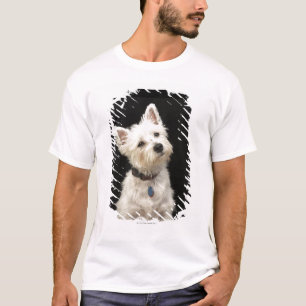 Westie (Westhochlandterrier) mit Kragen T-Shirt
