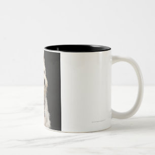 Westie (Westhochlandterrier) mit Kragen Zweifarbige Tasse