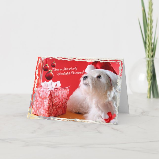 Westie wunderbares Weihnachten wünscht 4 - (Vorderseite)