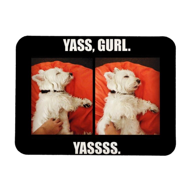 Westie Yass Gurl Funny Magnet (Horizontal)