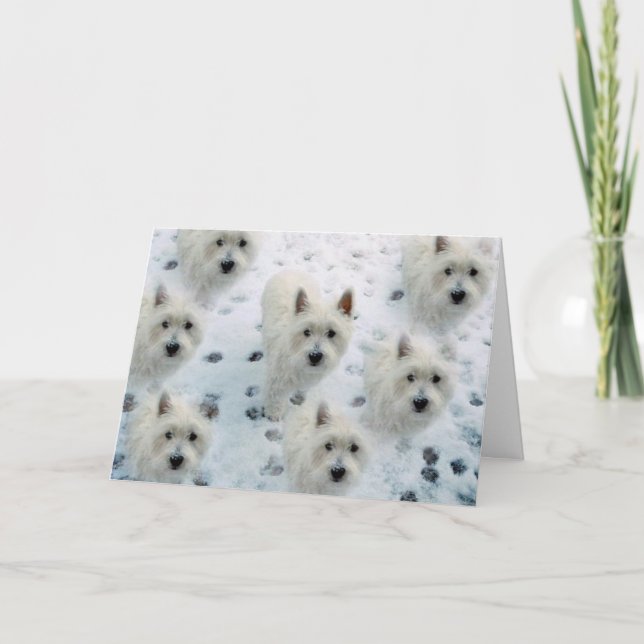 Westies dans la carte de voeux de Noël neige (Devant)