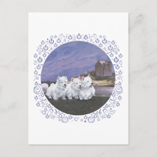Westies in Schottland Postkarte