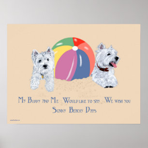 Westies mit einem Beach Ball Poster