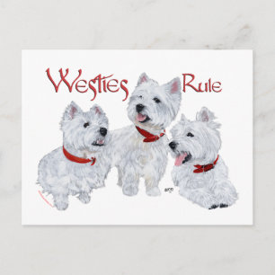 Westies regieren! postkarte