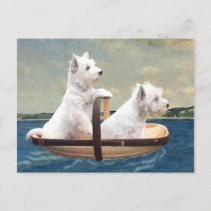 Westies setzen Segel Postkarte