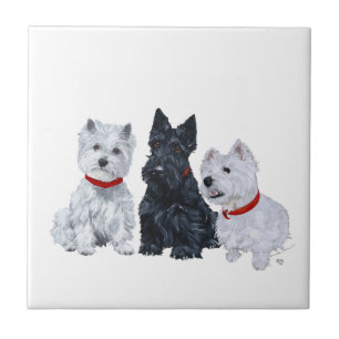 Westies und ein Scottie zusammen Fliese