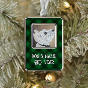Westioking-Profil B Rahmen-Ornament Silber