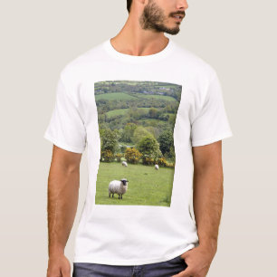 Westirland, Dingle-Halbinsel, breit T-Shirt