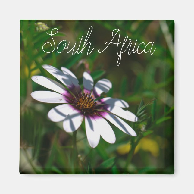 Westküste Südafrika Wilde Blume ZA Magnet (Vorne)