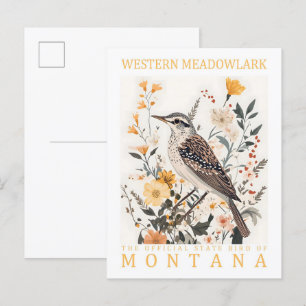 Westliche Lerchenstärling-Vogel von Montana USA Re Postkarte