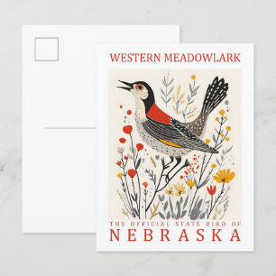 Westliche Lerchenstärling Vogel von Nebraska USA R Postkarte