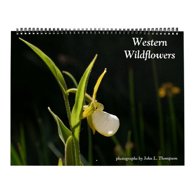 Westliche Wildblumen 2026 Kalender (Titelbild)