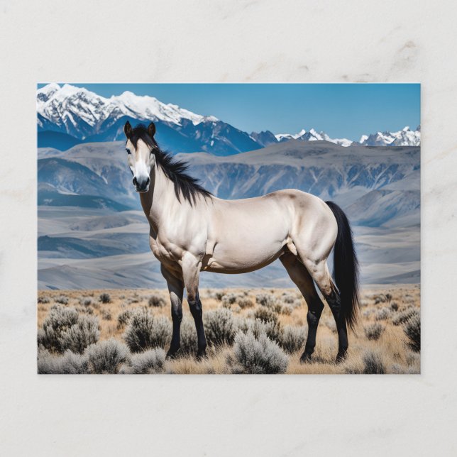 Westlicher Mustang-Geist Postkarte (Vorderseite)