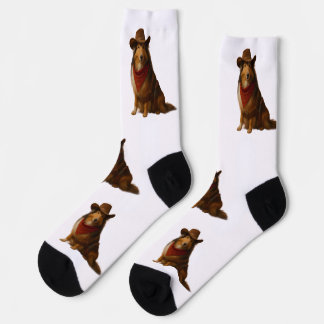 Westlicher Sheltie Socken