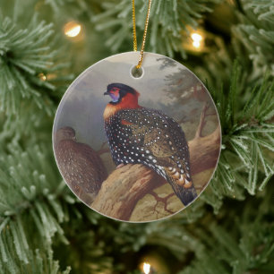 Westlicher Tragopan, Vogelillustrationen Keramik Ornament