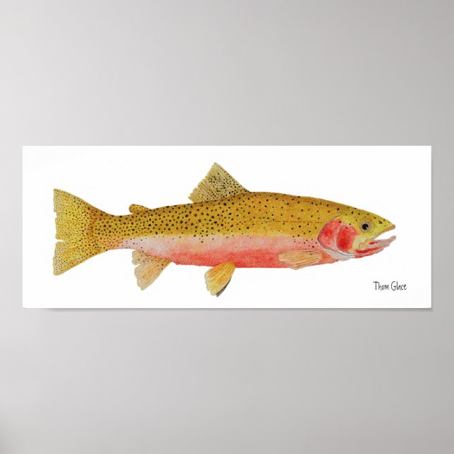 Westslope Cutthroat Trout Watercolor Poster (Vorne)