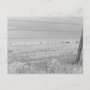 Westward Postcard gefangen Postkarte