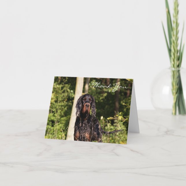 Wet Gordon Setter Merci note (Devant)