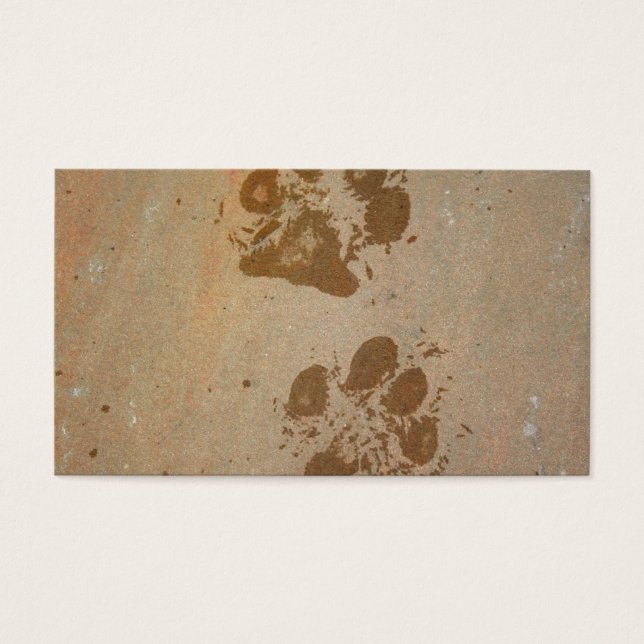 Wet Paw Prints (Vorderseite)