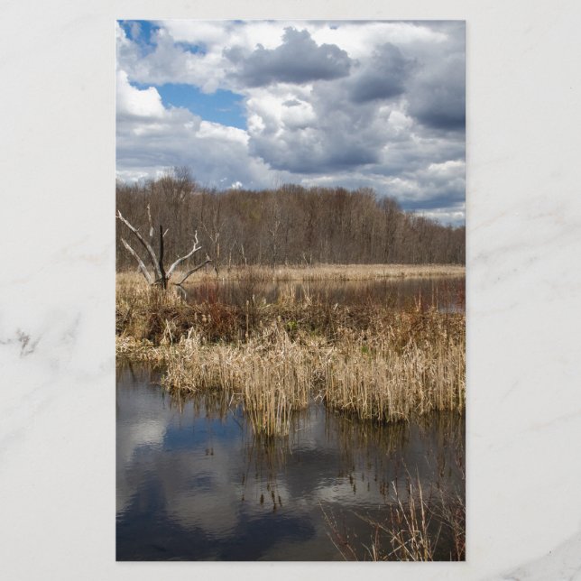 Wetland Cloudscape (Vorderseite)