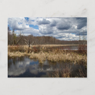 Wetland Cloudscape Postkarte