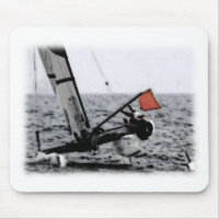 Wettbewerb Sailing Catamaran Picture