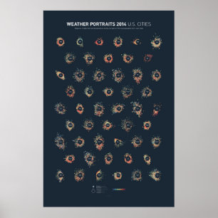 Wetter-Porträts 2014: US Städte Poster