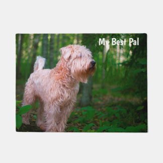 Wetter Terrier. Fußmatte