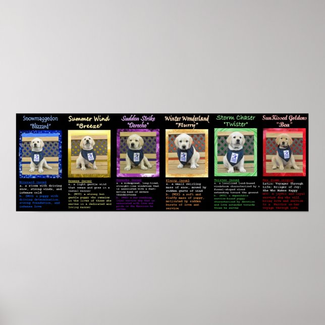 Wetter- und Bea-Name-Plakat Poster (Vorne)