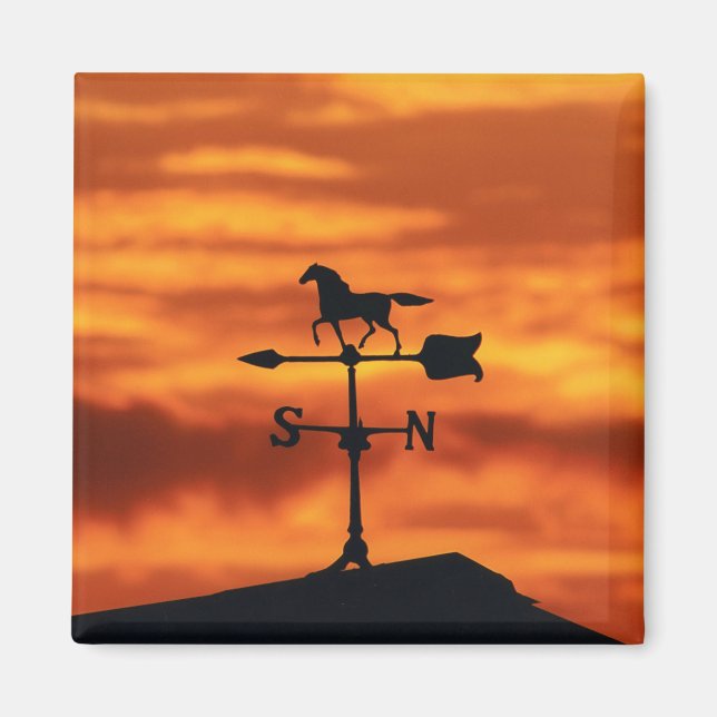 Wetter Vane bei Sonnenuntergang Magnet (Vorne)