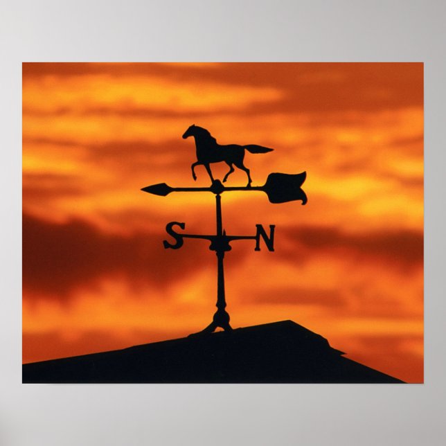 Wetter Vane bei Sonnenuntergang Poster (Vorne)