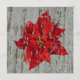 Wetterfertige Poinsettia Winter / Weihnachtsaufent Einladung