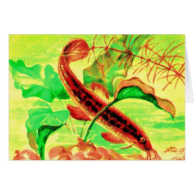 Wetterfisch (Vorderseite (Horizontal))