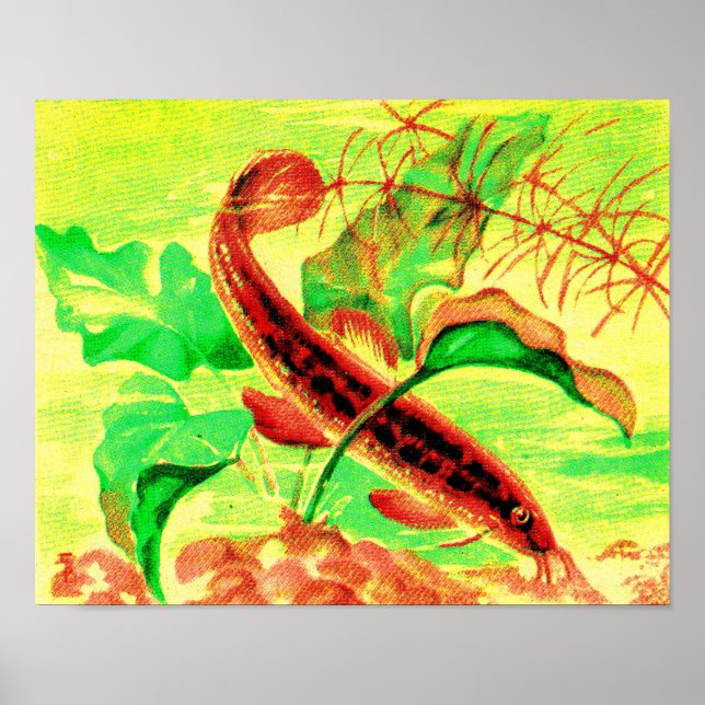 Wetterfisch Poster (Vorne)