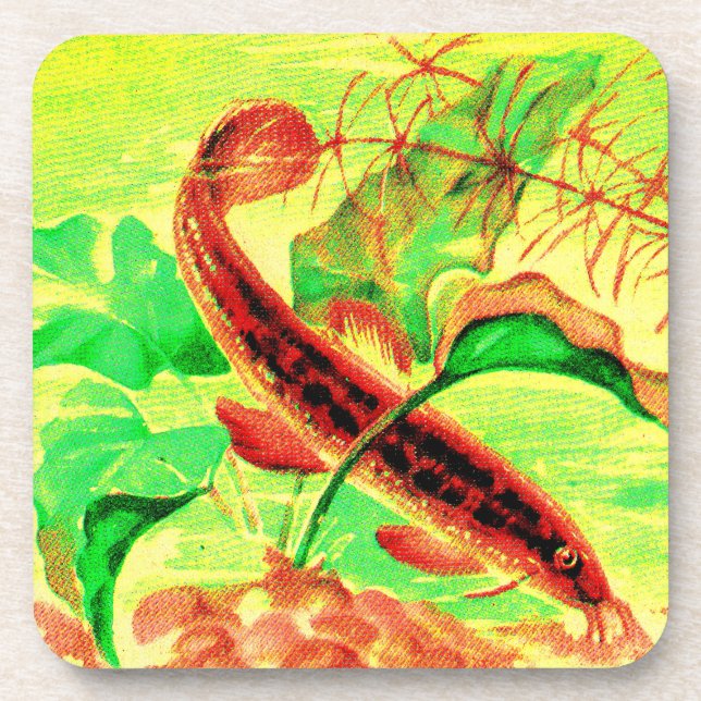 Wetterfisch Untersetzer (Vorderseite)