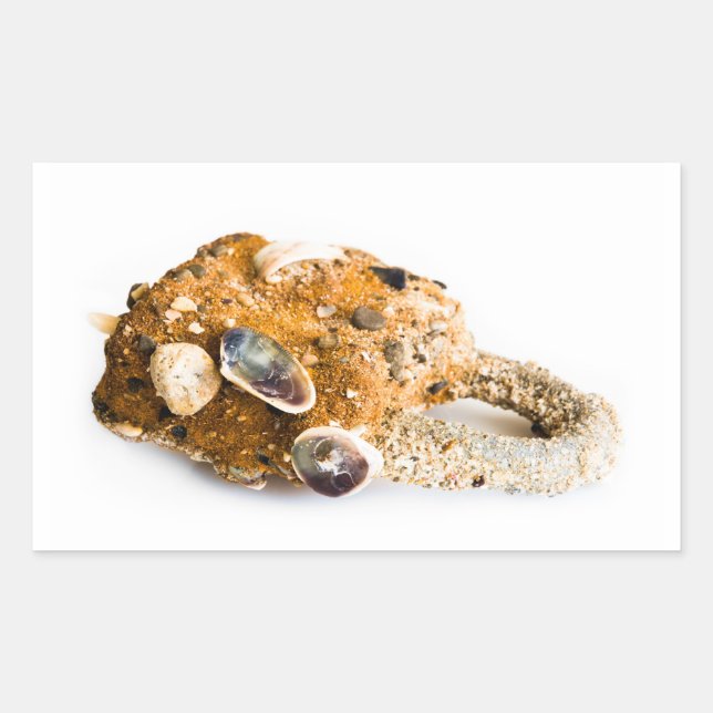 Wetterschloss Rechteckiger Aufkleber (Vorderseite)