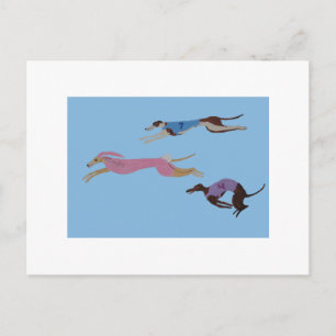 Wettkampf-Greyhounds mit Leithund im Hasenkostüm Postkarte